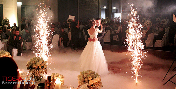 DJ arabic, arabic dj, lebanese dj, arabic dj, DJ lebanese music, DJ sydney, DJ Wollongong, DJ Australia, Melbourne, Brisbane, australian, DJ for weddings, DJ pre-weddings, DJ laylieh, DJ Layliah DJ christenings, DJ birthdays,  DJ other special occasions  DJ Egyptian, DJ iraq DJ ashuri DJ indian DJ English DJ Italian DJ Portuguese DJ portages DJ syria DJ Jordan DJ med music  Sydney, Wollongong, Canberra, Weddings DJ Tiger Boy Entertainment